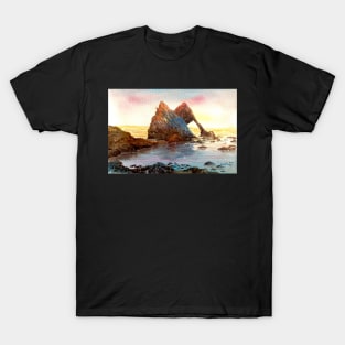 Bow fiddle rock T-Shirt